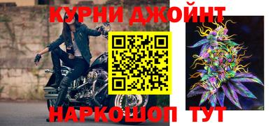 мет Кингисепп