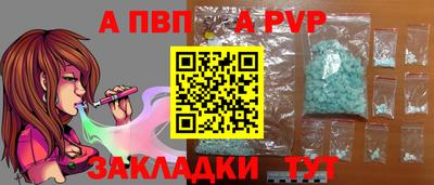 мет Кингисепп