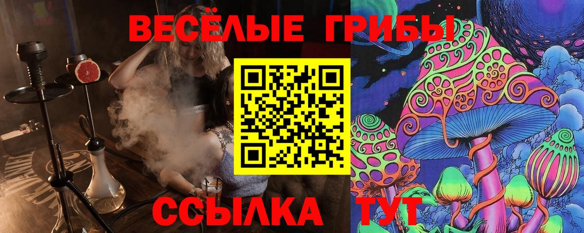 Уссурийск  Псилоцибиновые грибы прущие грибы  Вход с VPN  где можно купить   Галлюциногенные грибы MAGIC MUSHROOMS 